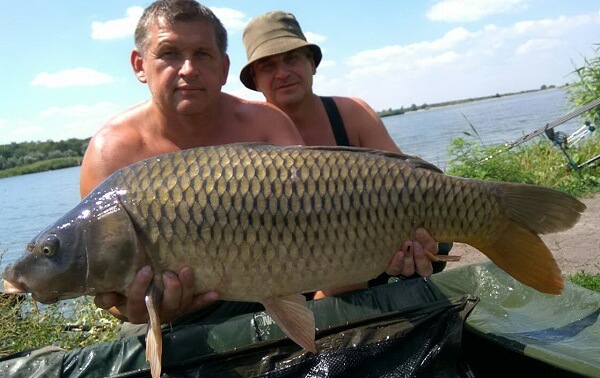 Первая рыба за 10 кг