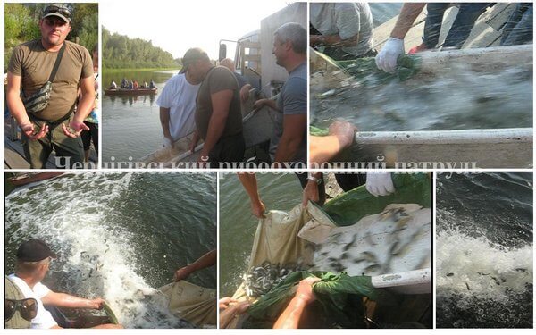 09 09 Zariblenia 02 2