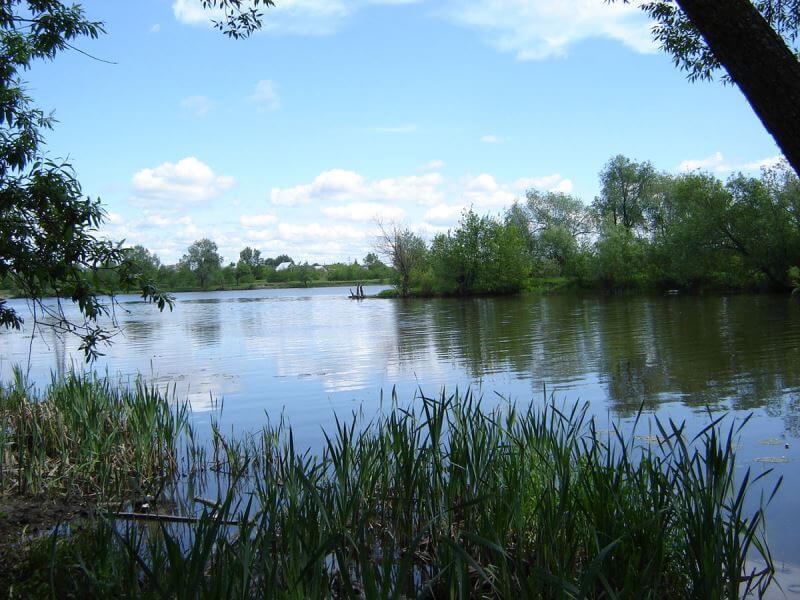 1200px Впадение Пензы в Суру