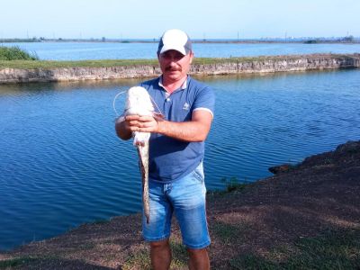 Неожиданный улов)