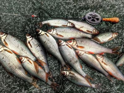 не Первый Лёд 2018