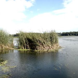 г. Ходорив, Львовская область