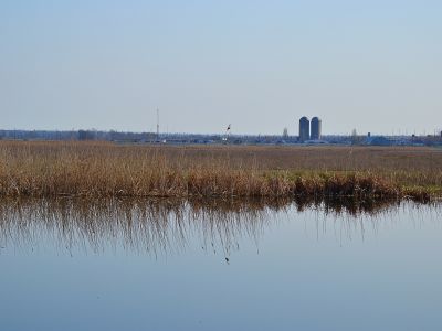Морской карась на р. Берде