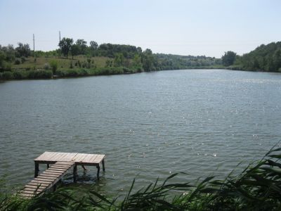 Карповая заводь