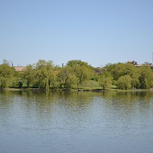 с. Басань
