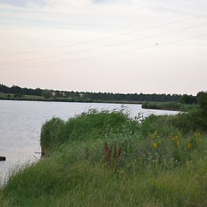 Пруд «Замостье»