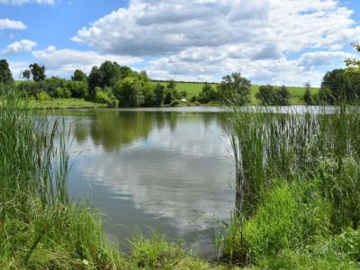 Пруд Первые бугаи