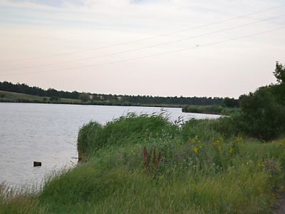 Пруд «Замостье»