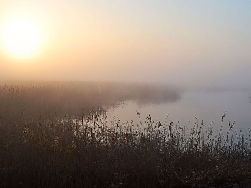 р. Берда старопетровка
