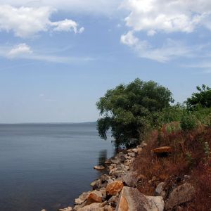 ВР Скелянский ставок