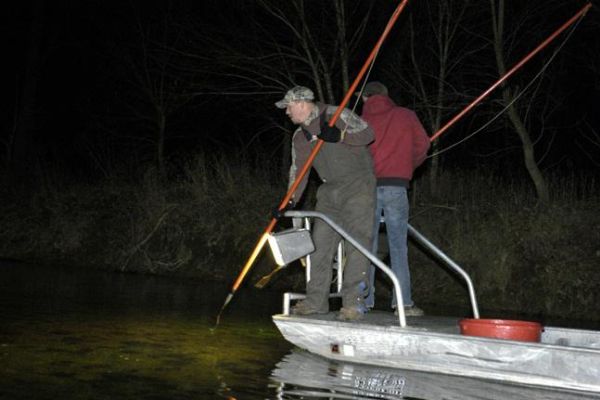 Запрещенные орудия лова и ответственность за их использование, - рыбоохранный патруль Киевщины