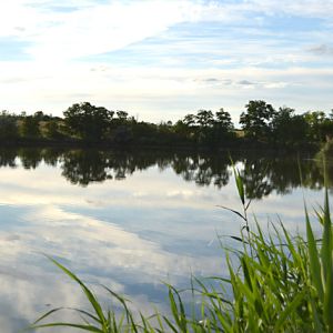 Пруд «МАСКВА»