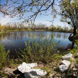 Рыболовная база "Белые камни-1"