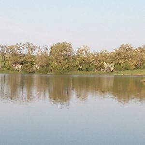 Листвянский