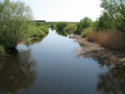 река В. Бурлук (Мостовое)