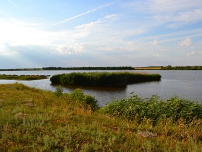 Пруд "Ударник"