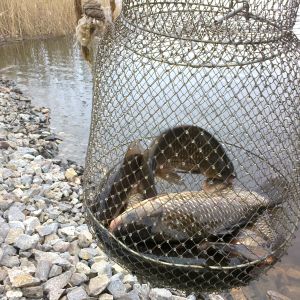 с. Малософиевка