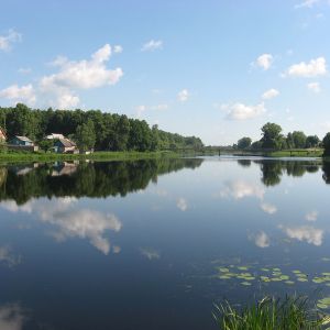 р. Десна (Броварский район)