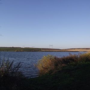 водоем в с.Косарево, Млиновский район, Ровенская область
