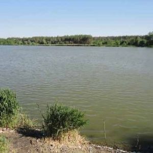 водоем в с.Таценки