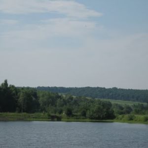 Гутишин - Бариш