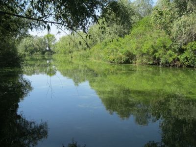 Кировское озеро