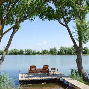 Волково болото