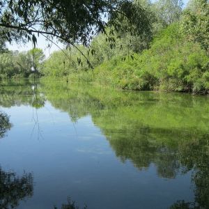 Кировское озеро