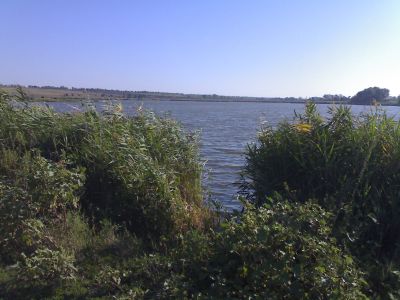 с. Долинское