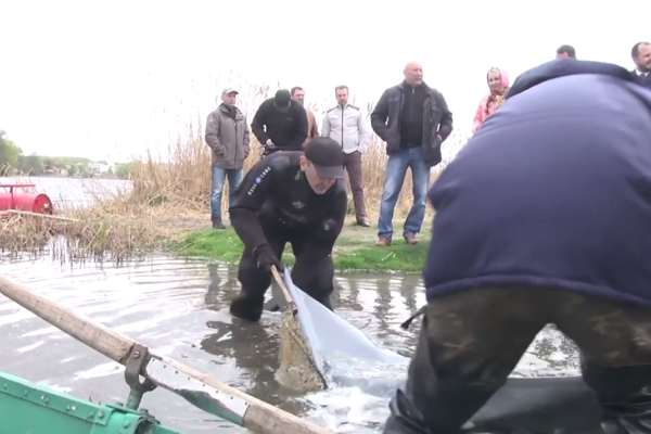 В главную реку Хмельницкого выпустили 2000 кг малька толстолобика