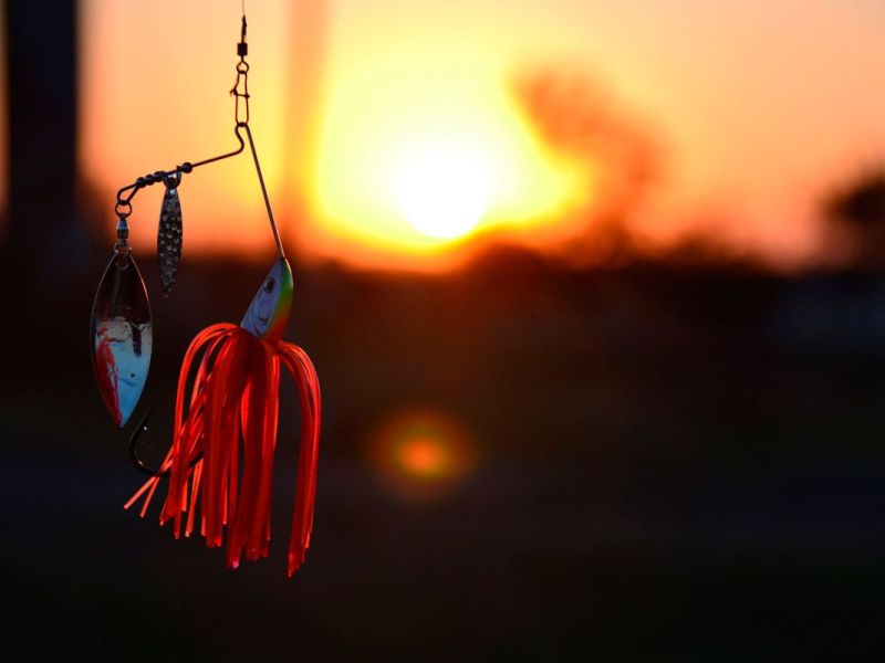 Красивые картинки