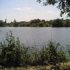 Дымино, Маловисковский р-н