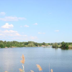 Заря, Днепропетровская обл. (Недайвода)
