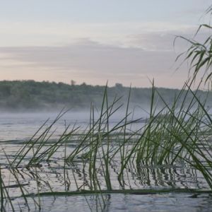 рыбалка на базе "Рыбацкий стан"