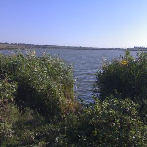 с. Долинское