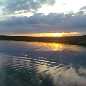 Курошаны