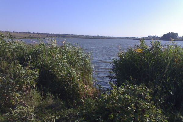 Открытие сезона рыбалки в с. Курошаны Токмакского района