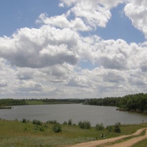 Новомлыновка