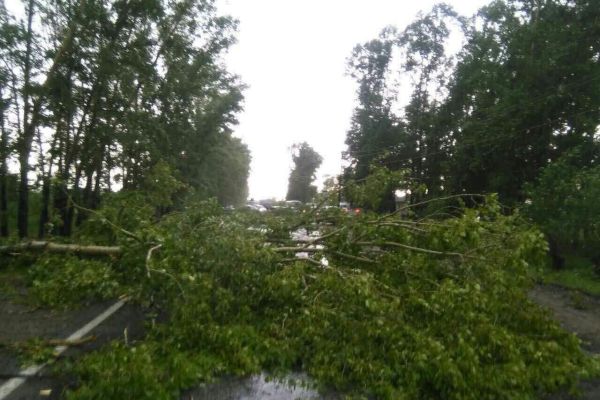 Синоптики предупреждают об ухудшении погодных условия - сильных дождях и грозах