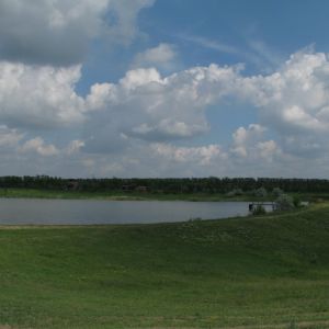 Cофиевский ставок