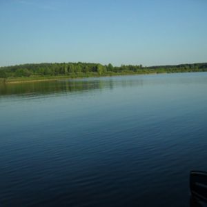 Бегета, Владимир - Волынский район, Волынская область