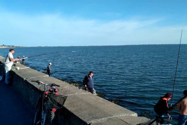 Как я ловлю на море Бердянска белую рыбу