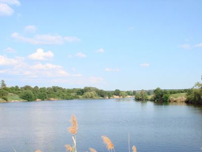 Заря, Днепропетровская обл. (Недайвода)