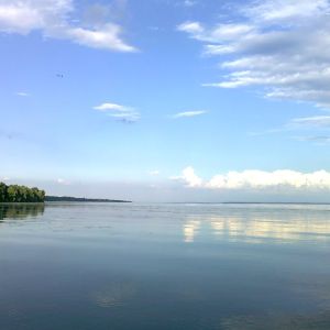 Мишурин Рог