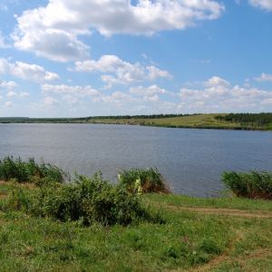 c. Дахно