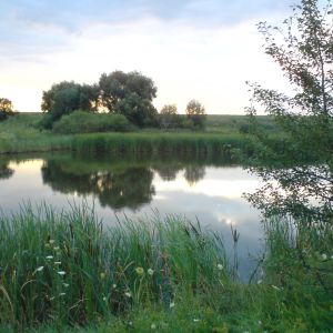 Вишняковка