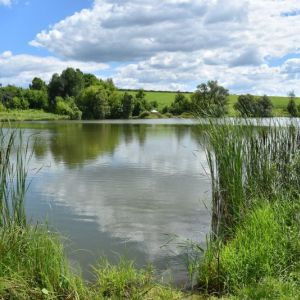 Пруд Первые бугаи