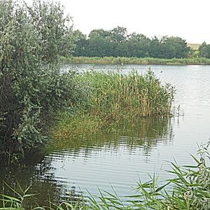 с. Оленовка