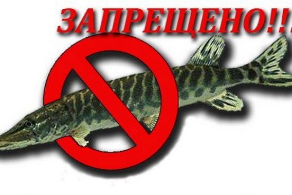 Весняно-літня заборона 2017 року на водоймах Запорізької області