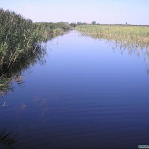 Олесько, Бусский район, Львовская область